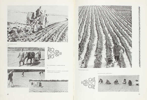 Таджикская ССР на Всесоюзной сельскохозяйственной выставке 1939 года / Сост. П.А. Белавин и автор текста Эль-Регистан. М.: Госкиноиздат, 1940.